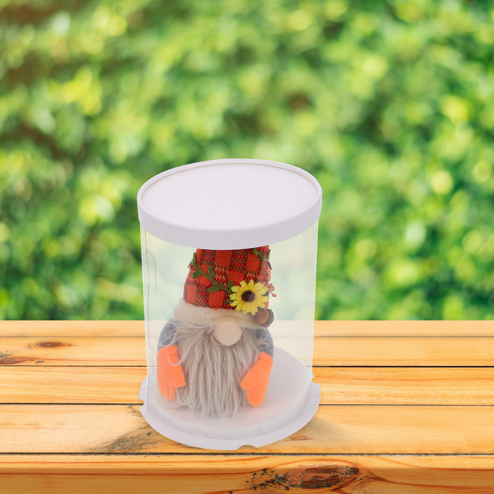 Display Box Case Clear Figures - Display Case Acrylic review and price